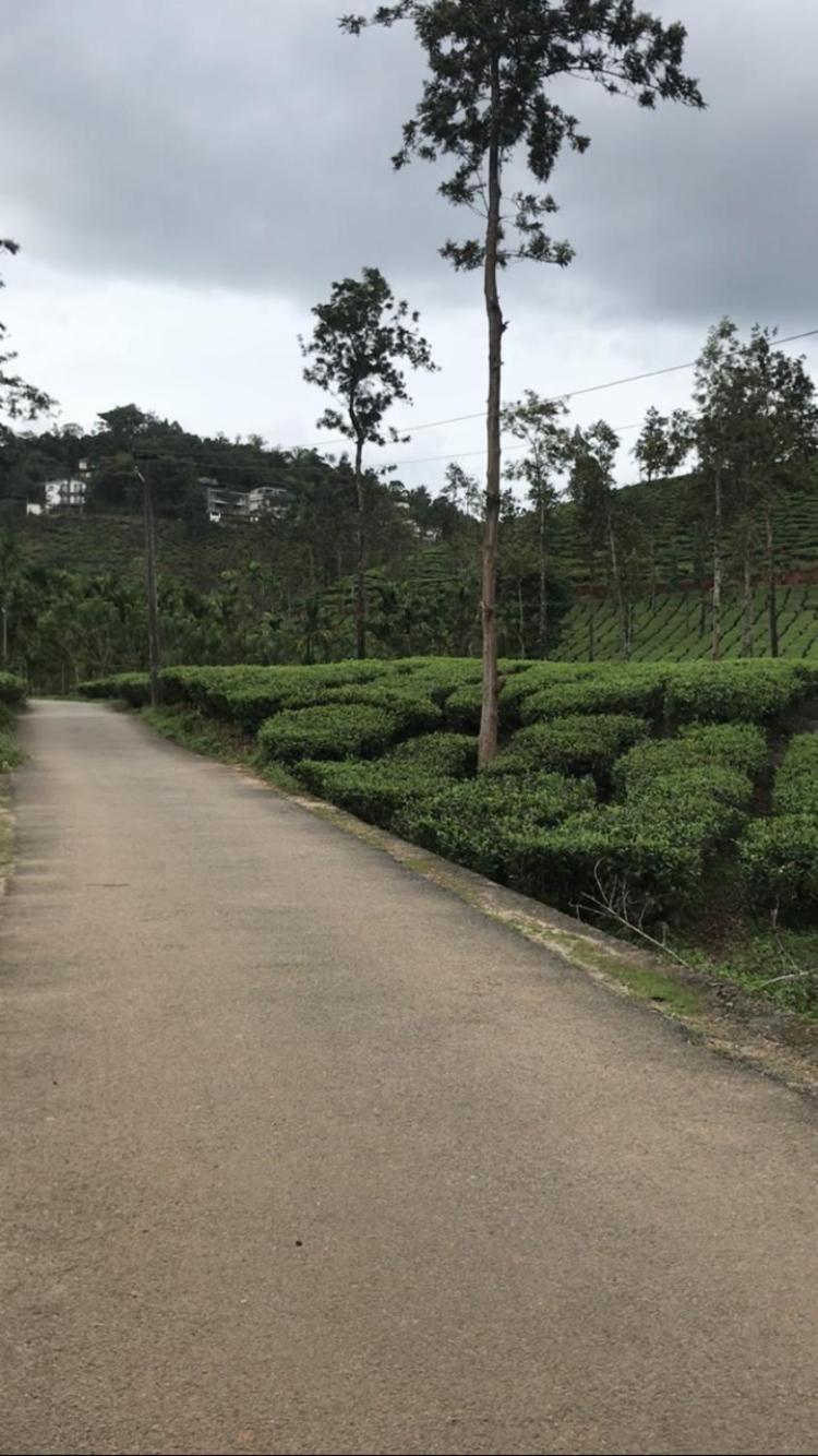 Greenfield Homestay Витхири Экстерьер фото